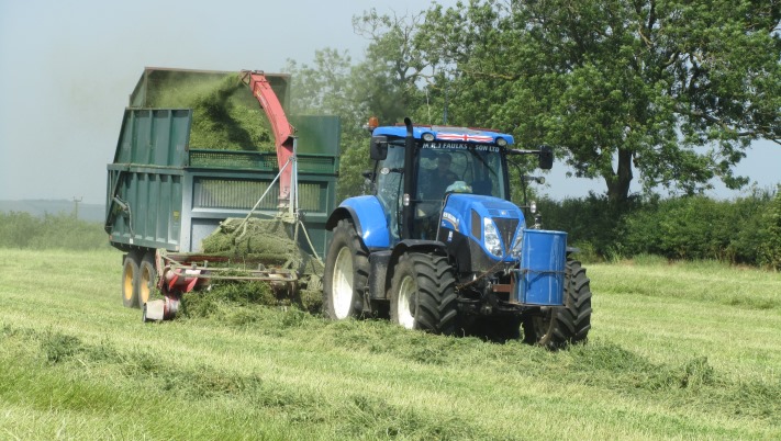 Picking up Daisy lucerne on the hottest day of the year